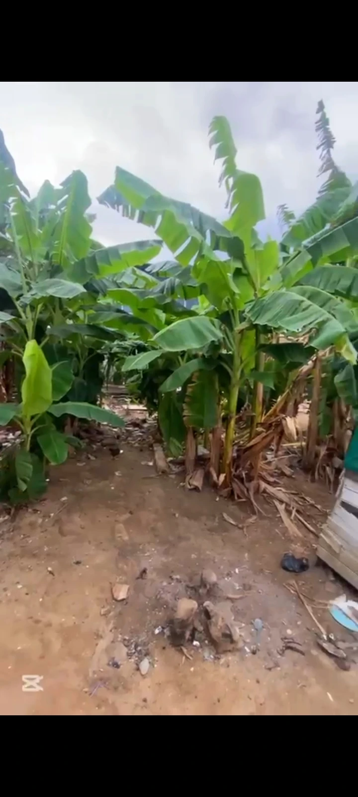 Land for Sale in PETER ODILI, Rivers cover picture