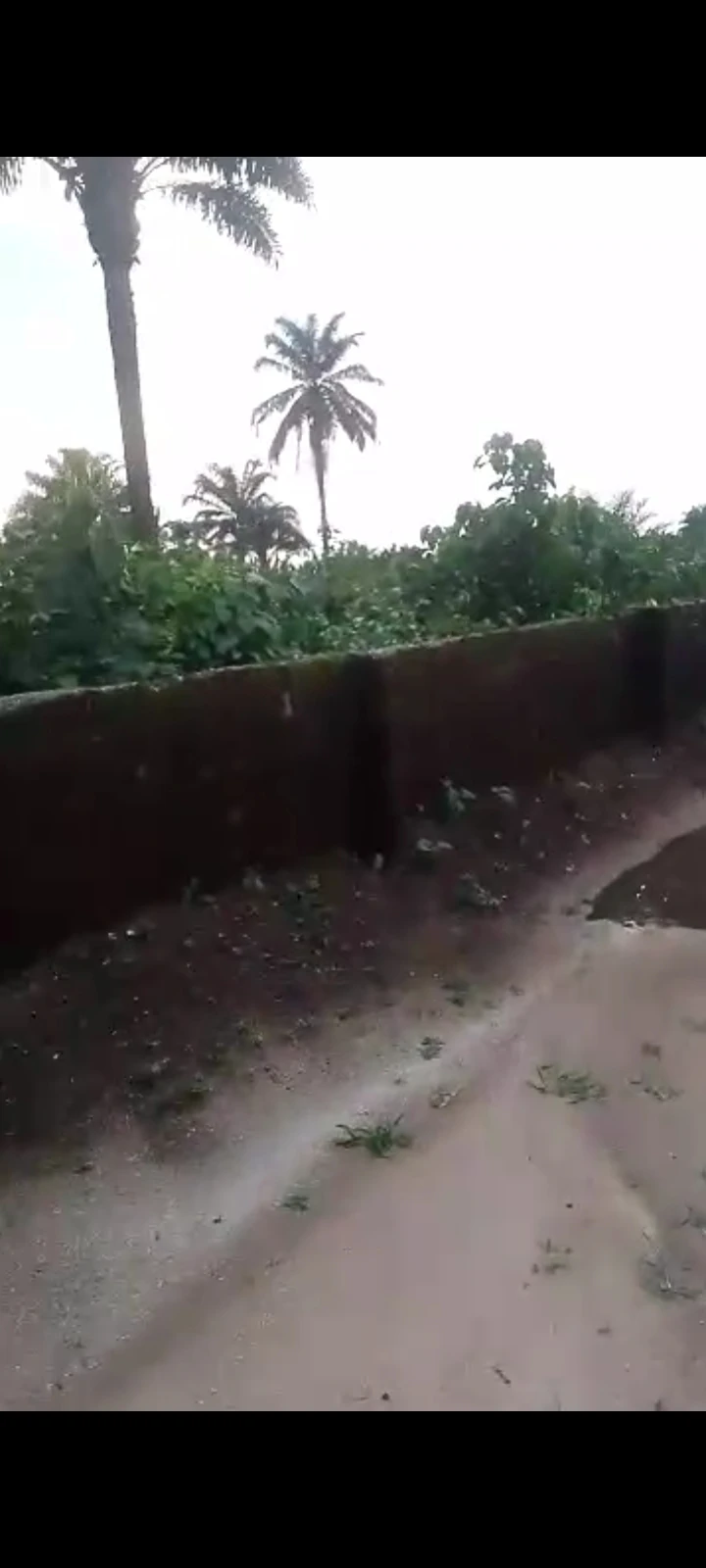 Land for Sale in Dynamic Estate New extension, by NDDC road, Rivers cover picture