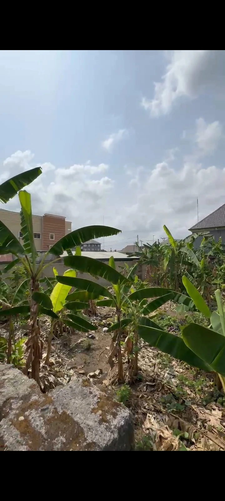 Land for Sale in NTA Road, Rivers