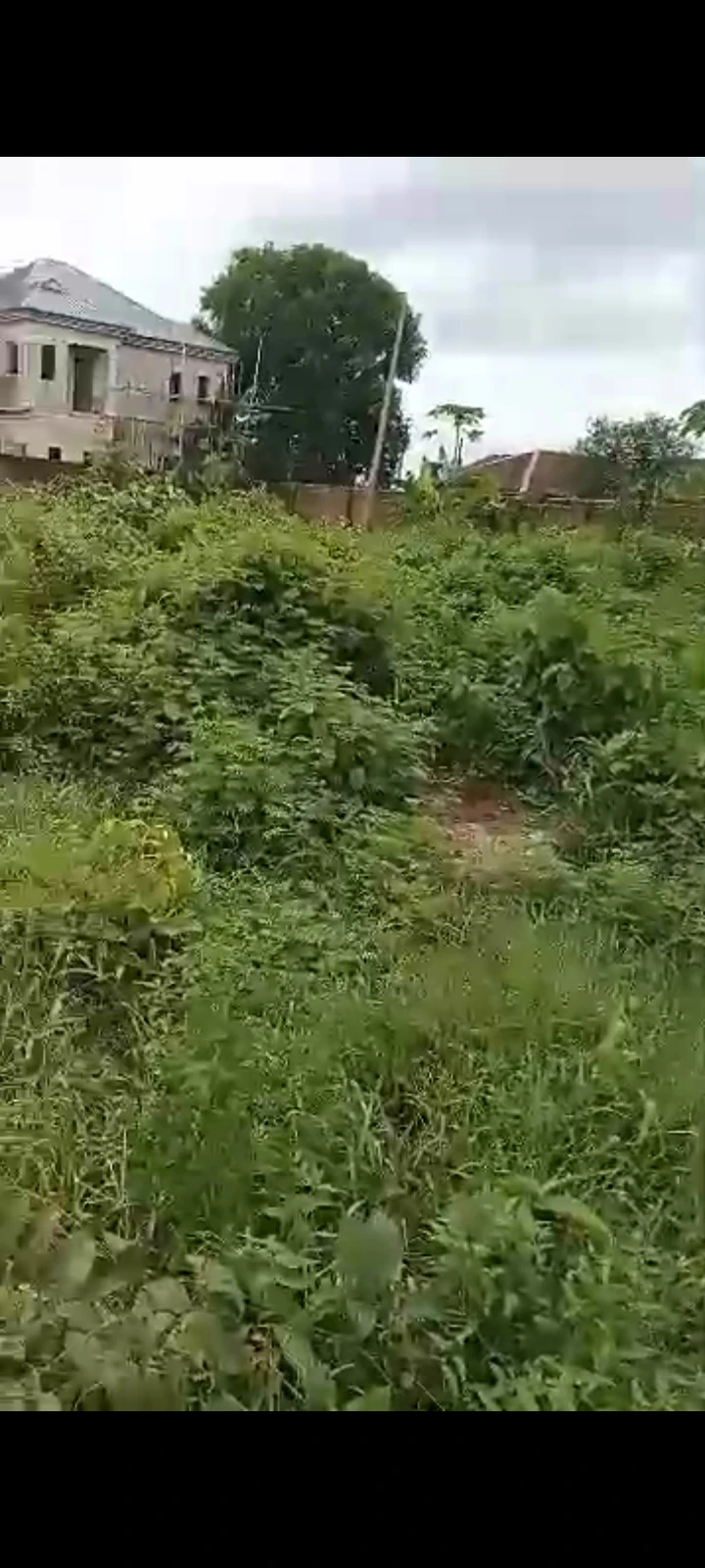 Land for Sale in Elelenwo, Rivers cover picture