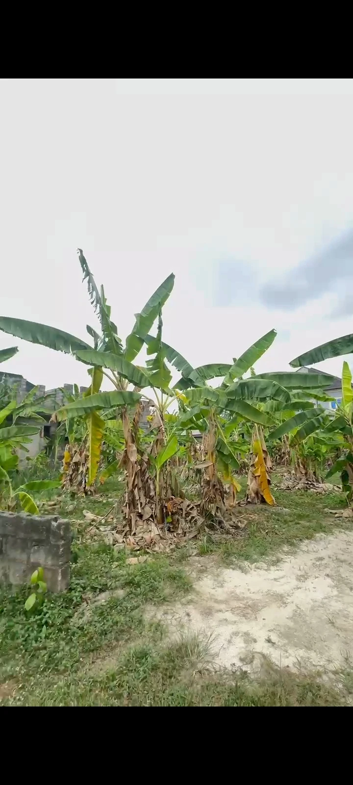 Land for Sale in MAJESTY ESTATE, NTA RD ( Behind National Open University), Rivers cover picture