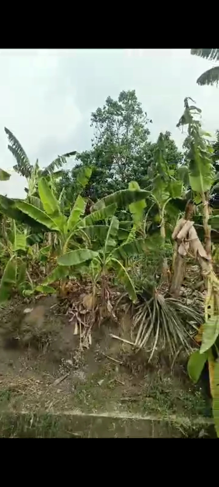 Land for Sale in Akpajo, Rivers cover picture