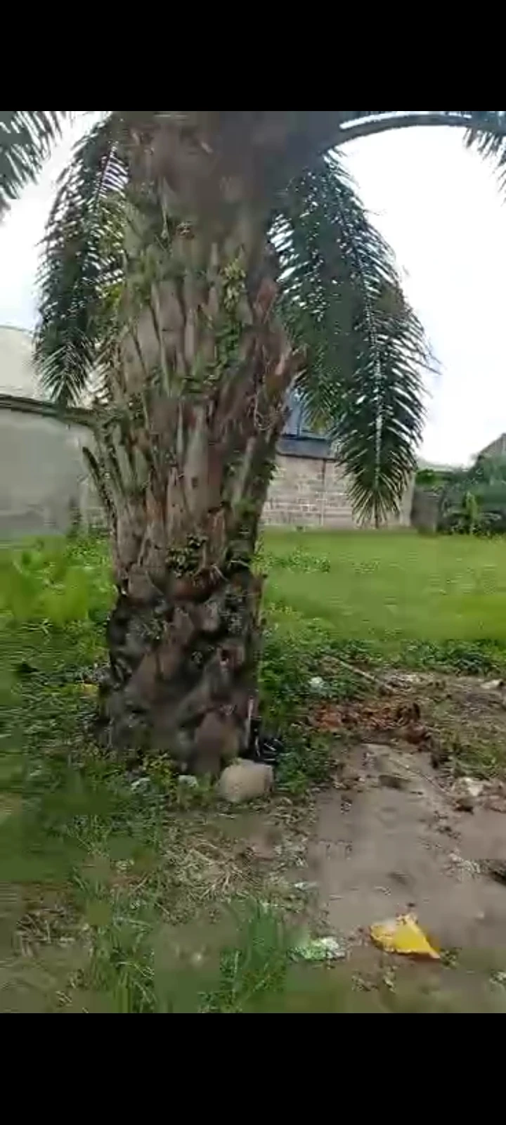 Land for Sale in IWOFE, Rivers cover picture