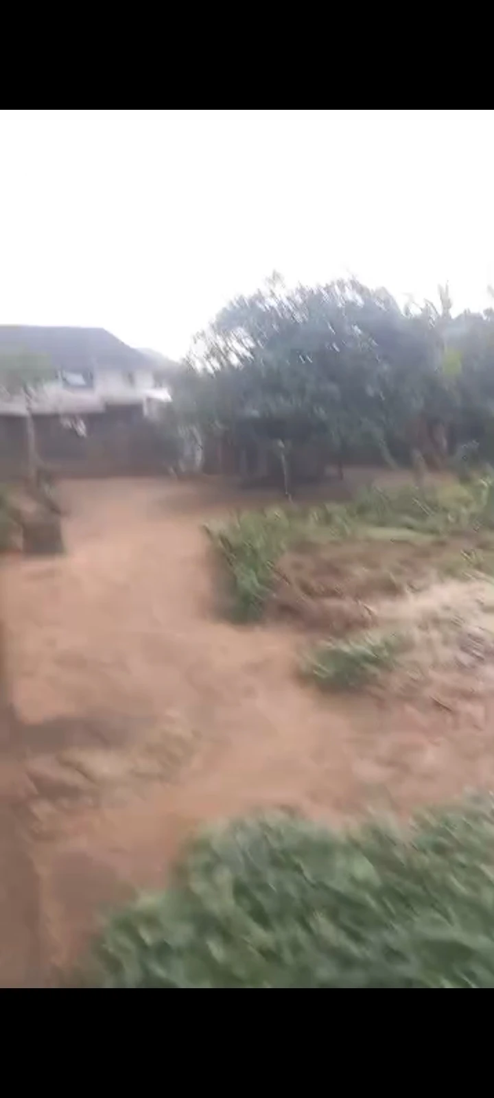 Land for Sale in obirikwere junction by open university NTA, Rivers cover picture