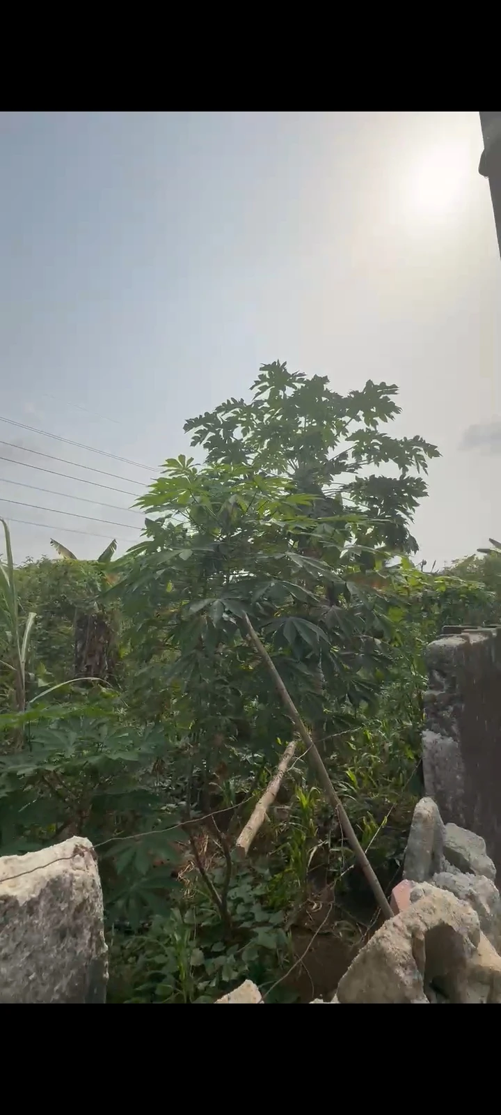 Land for Sale in SARS Road, Rivers