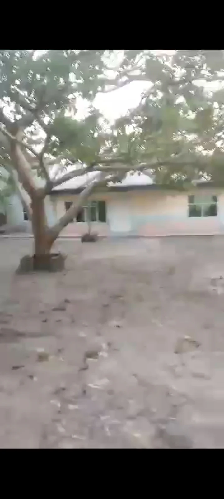 SelfContain for Sale in NTA Road, Rivers