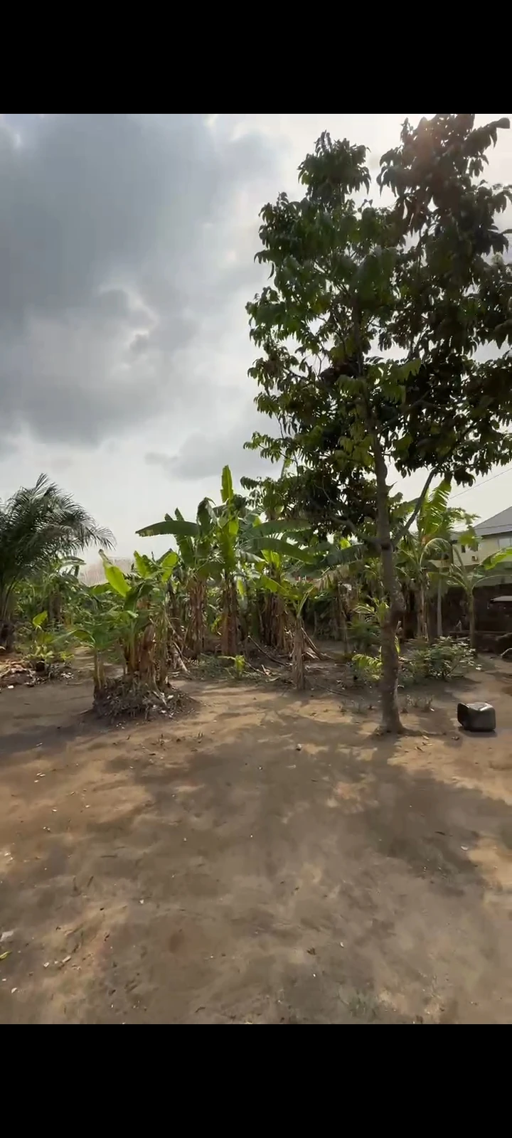 Land for Sale in NTA RD, Mgbuoba, Rivers cover picture