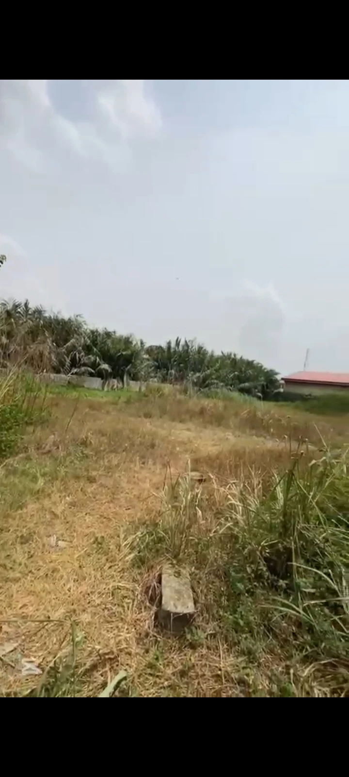 Land for Sale in PETER ODILI, Rivers