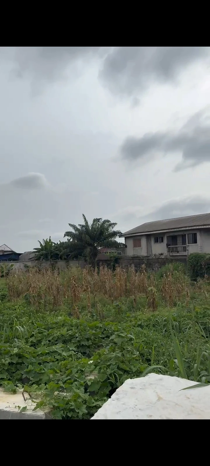Land for Sale in Jamaica Estate, Rumuodara, Rivers cover picture
