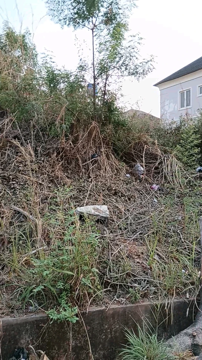 Land for Sale in Liberty Estate, Enugu - Image 3