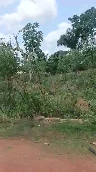 Land for Sale in Emene by Adoration road, Enugu - Image 4