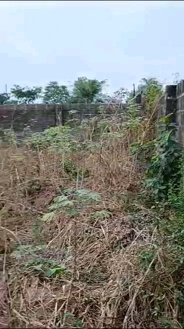 Land for Sale in Emene by Adoration road, Enugu - Image 3
