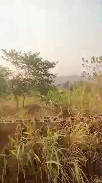 Land for Sale in Legacy Estate transekulu, Enugu - Image 1
