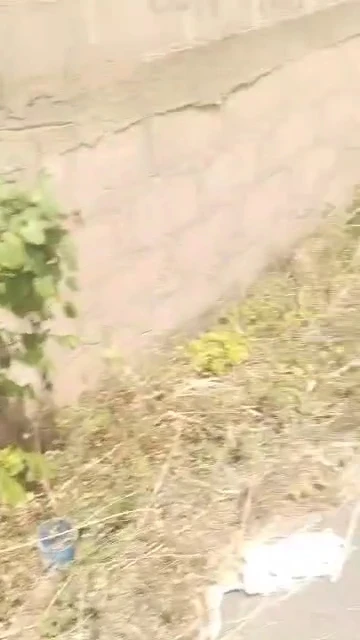 Land for Sale in Golf Annex, Enugu - Image 1