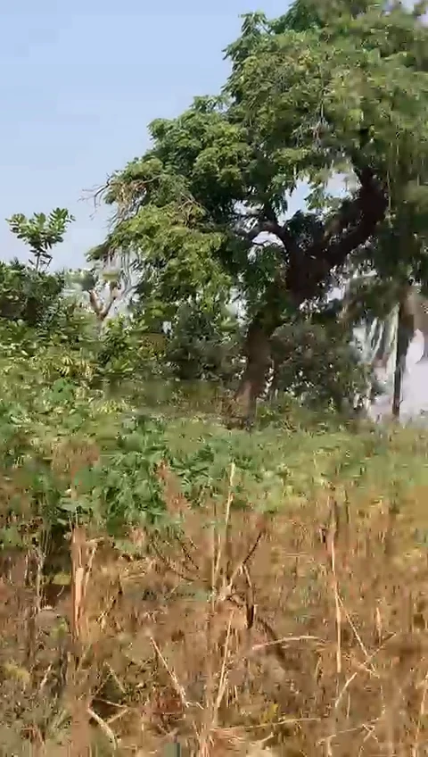Land for Sale in Golf Annex, Enugu - Image 2