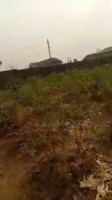 Land for Sale in PRODA Emene, Enugu - Image 2