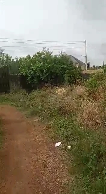 Land for Sale in Emene industrial layout, Enugu, Enugu - Image 3