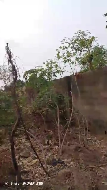 Land for Sale in Transearodrome, Enugu - Image 3