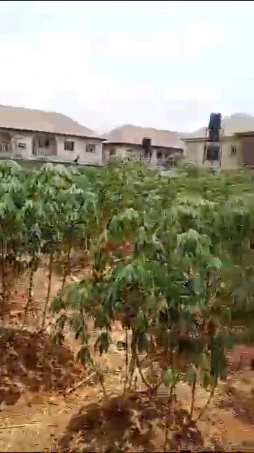 Land for Sale in New heaven extension, Enugu - Image 2