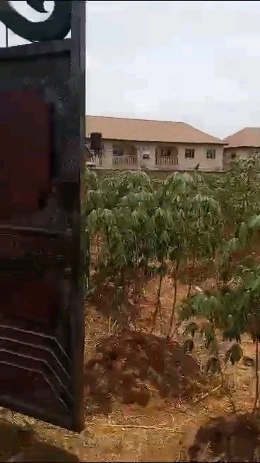 Land for Sale in New heaven extension, Enugu - Image 5