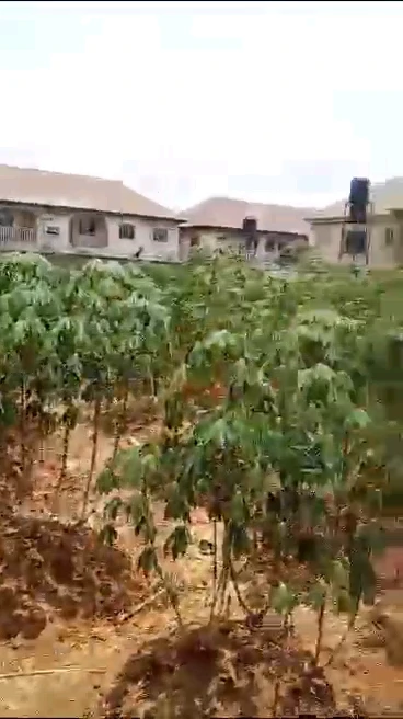 Land for Sale in New heaven extension, Enugu - Image 1