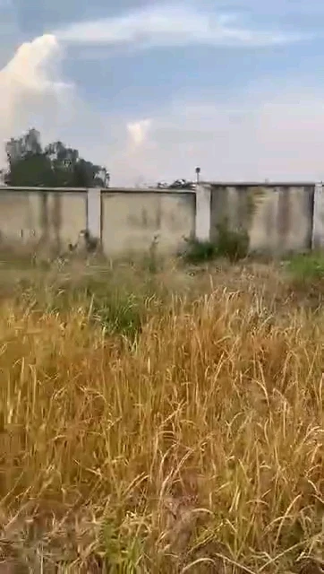 Land for Sale in Diamond Estate, Enugu - Image 2