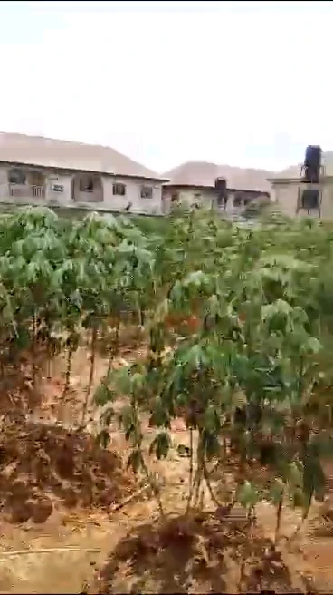 Land for Sale in New heaven extension, Enugu cover picture