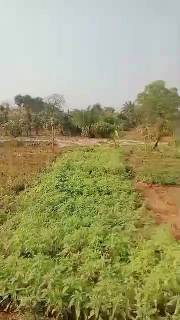 Land for Sale in Old GRA by transekulu Bridge, Enugu
