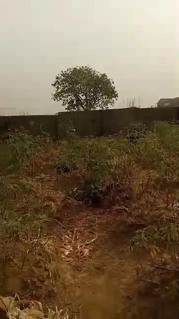 Land for Sale in PRODA Emene, Enugu