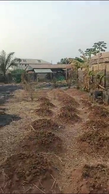 Land for Sale in Emene, Enugu cover picture