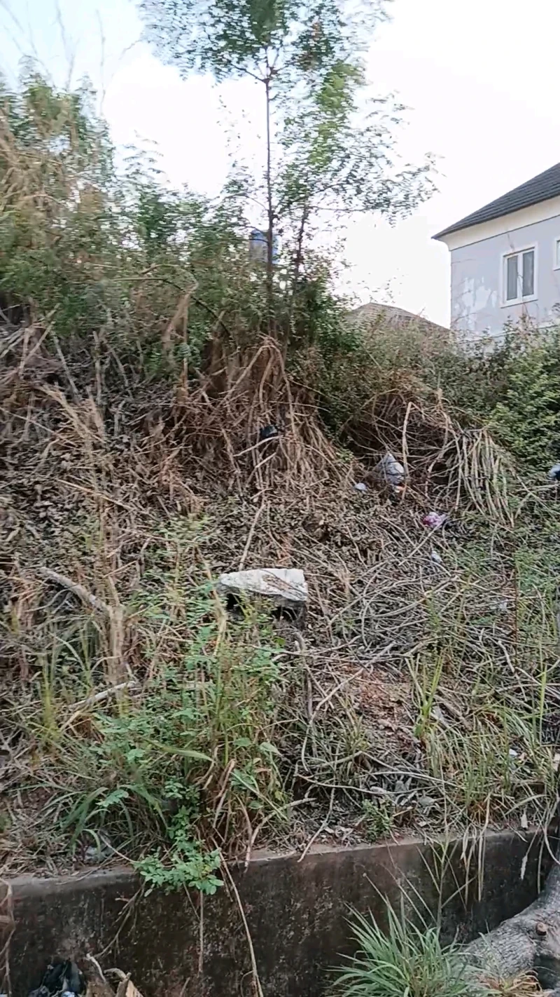 Land for Sale in Liberty Estate, Enugu