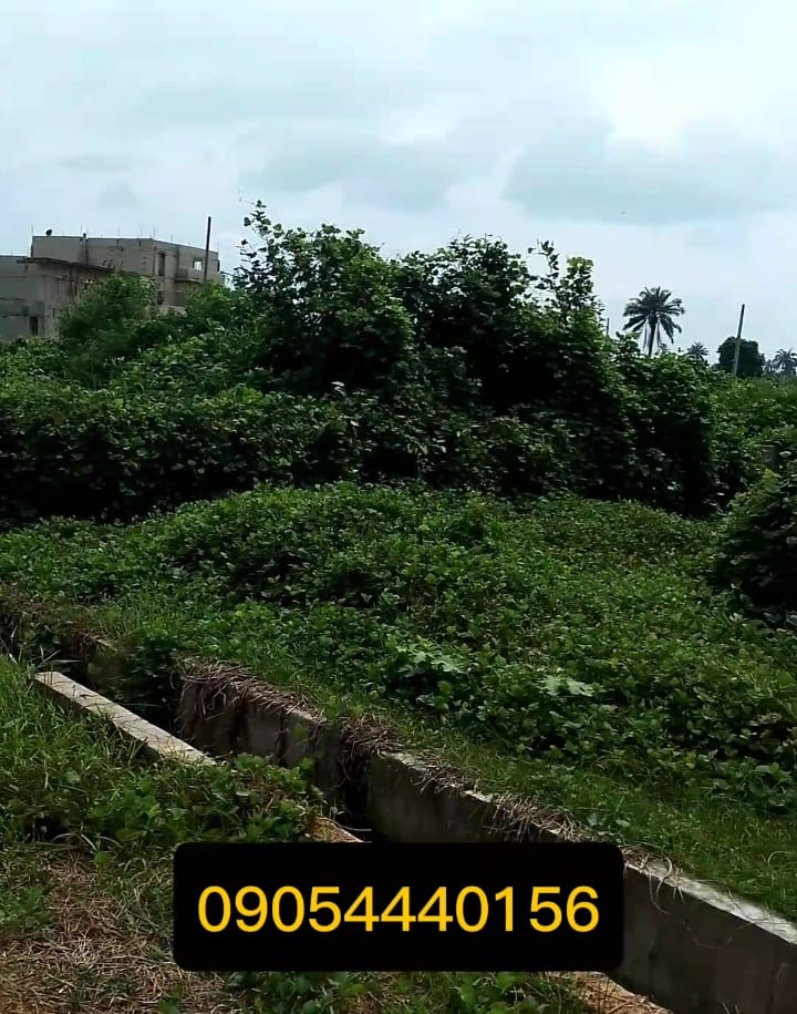Land for Sale in Rukpowu after RCCG Regional Camp, Rivers - Image 1
