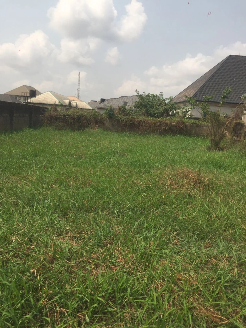 Land for Sale in Eneka, Rivers - Image 4