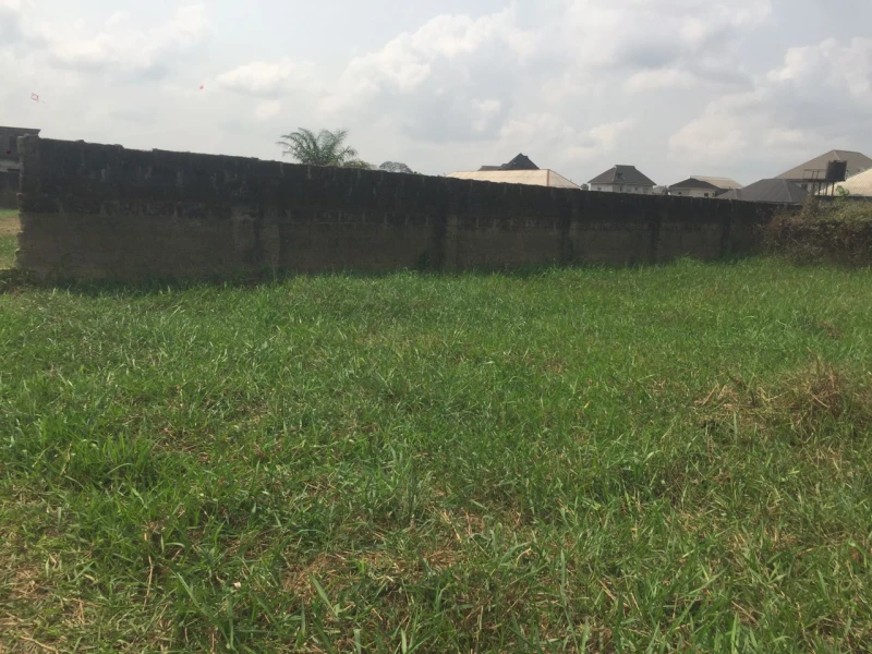 Land for Sale in Eneka, Rivers - Image 3