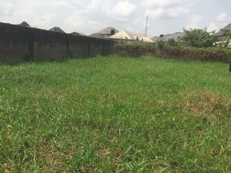 Land for Sale in Eneka, Rivers - Image 2