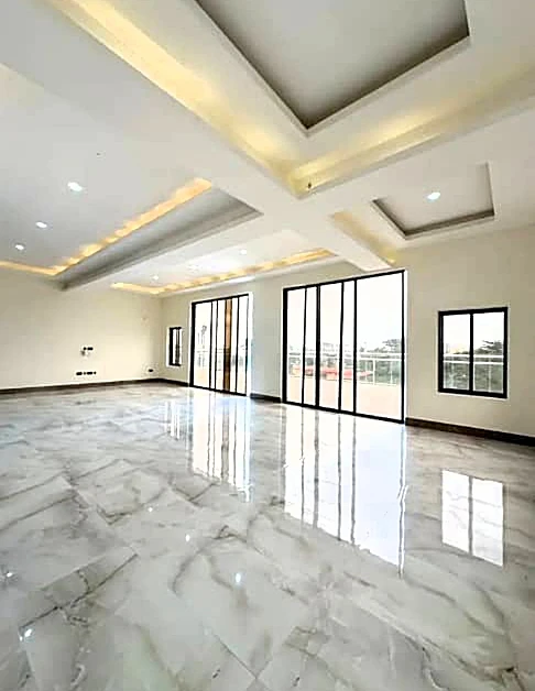 Pent-House for Sale in Ikoyi, Lagos - Image 2
