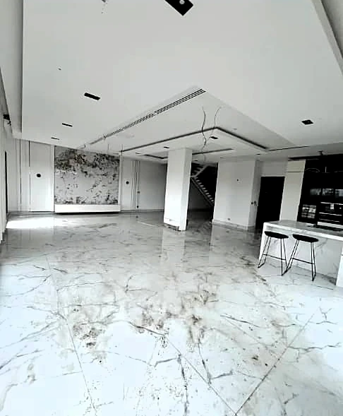Mansion for Sale in Ikoyi, Lagos - Image 4
