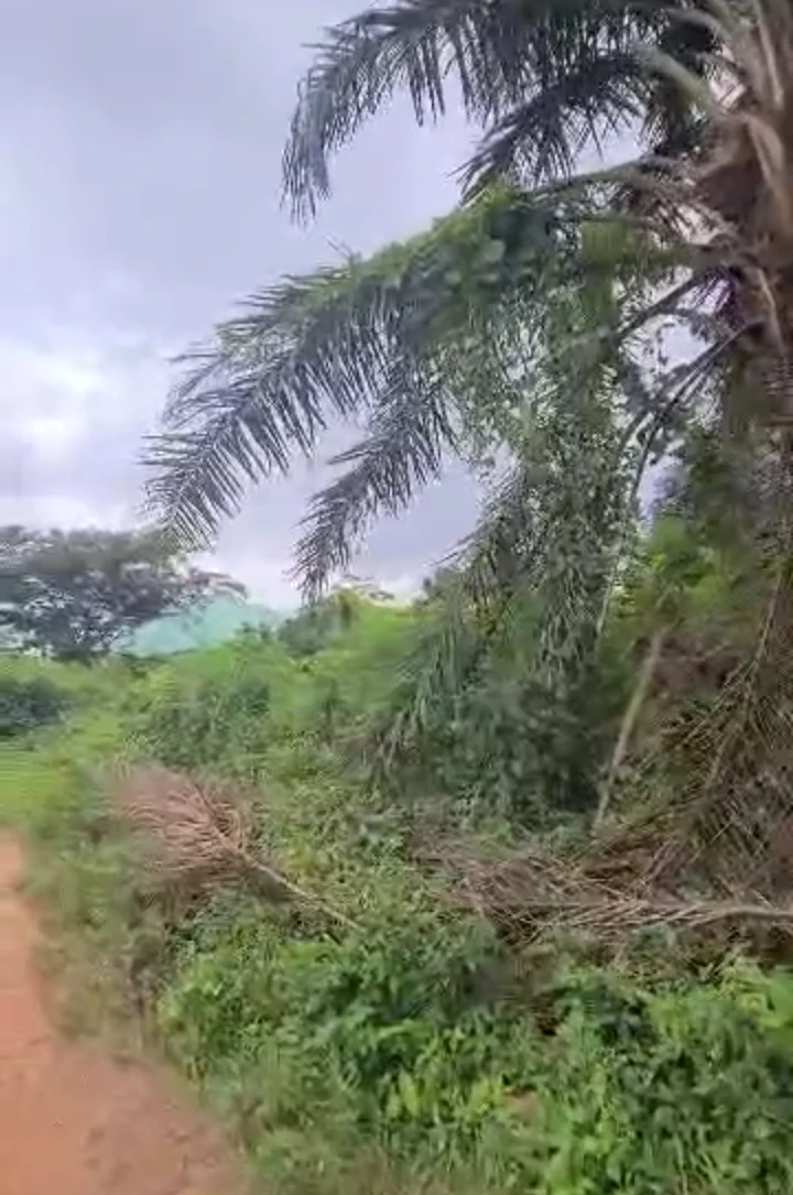 Land for Sale in Ofumengbe/okhoromi by maiah hotel, Edo - Image 1