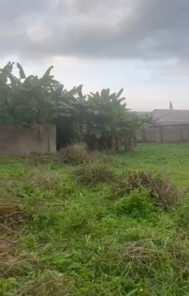Land for Sale in Ebo street Irhirhi community, Edo - Image 1