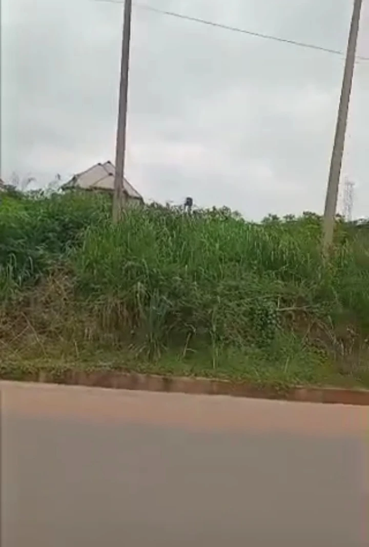 Land for Sale in Evbuodia community after Ogba river airport road, Edo - Image 1