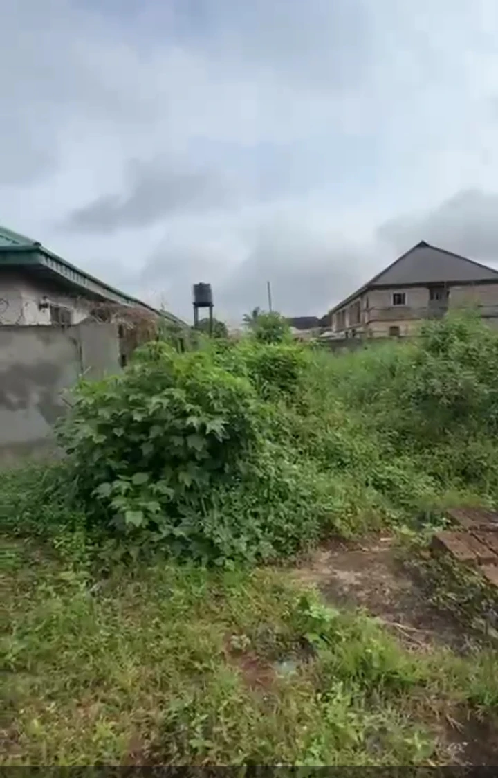 Land for Sale in Arougba community, Edo - Image 1