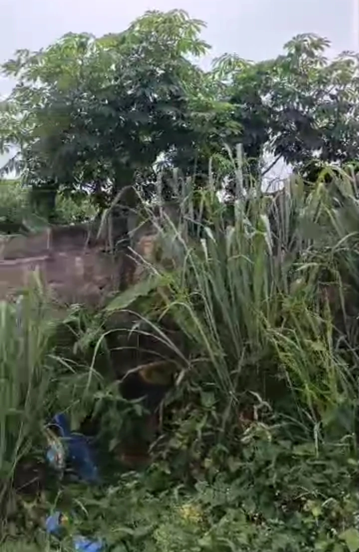 Land for Sale in Omogiate area, Edo - Image 1