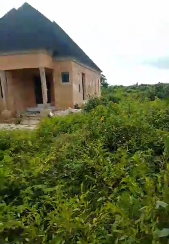 Land for Sale in Ulemon, Edo - Image 1