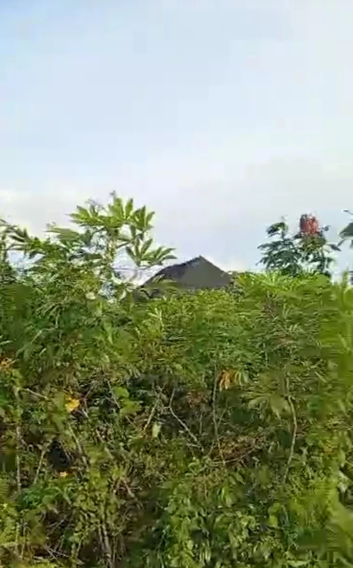 Land for Sale in Airport Road extension, Edo - Image 1