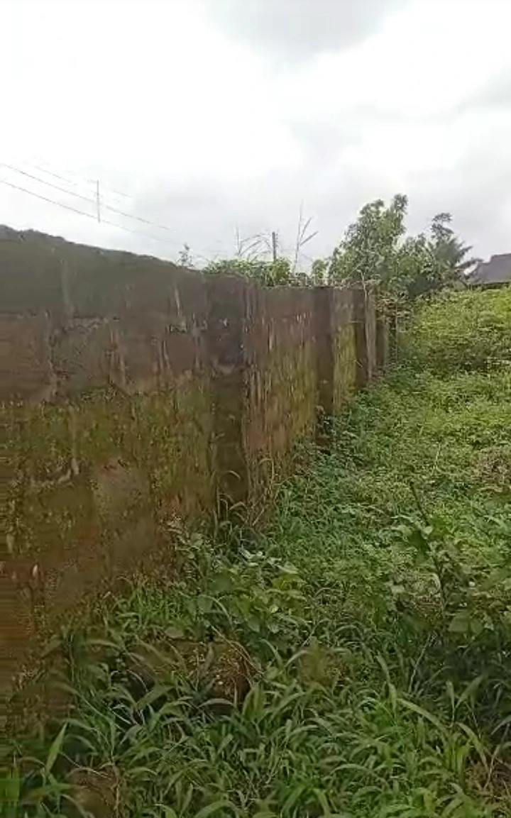 Land for Sale in Evbuodia community, Edo - Image 1