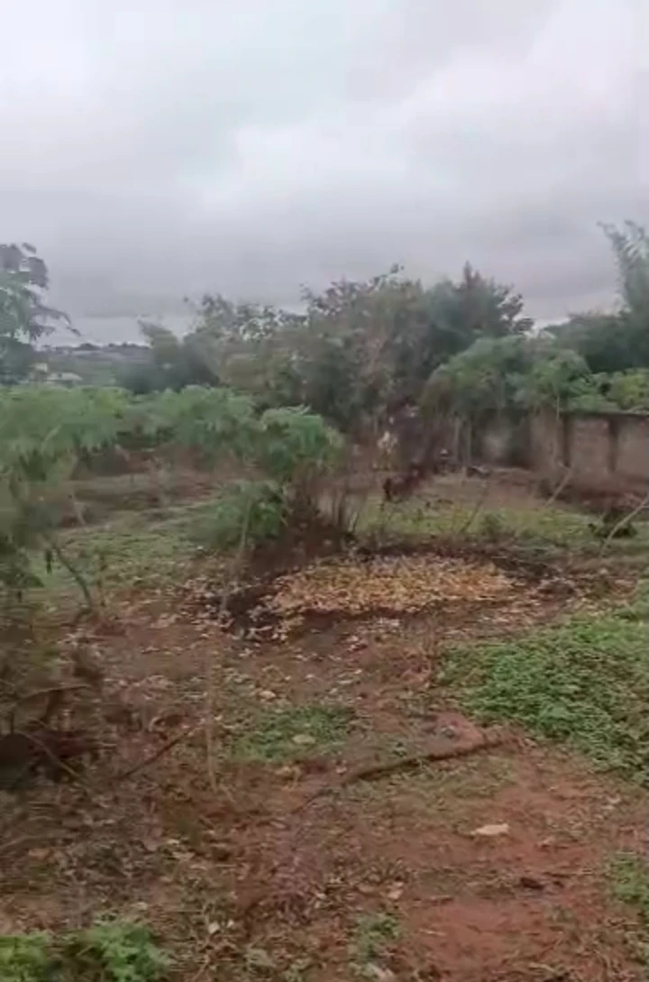 Land for Sale in Andrew Catholic Church Road, Edo - Image 1