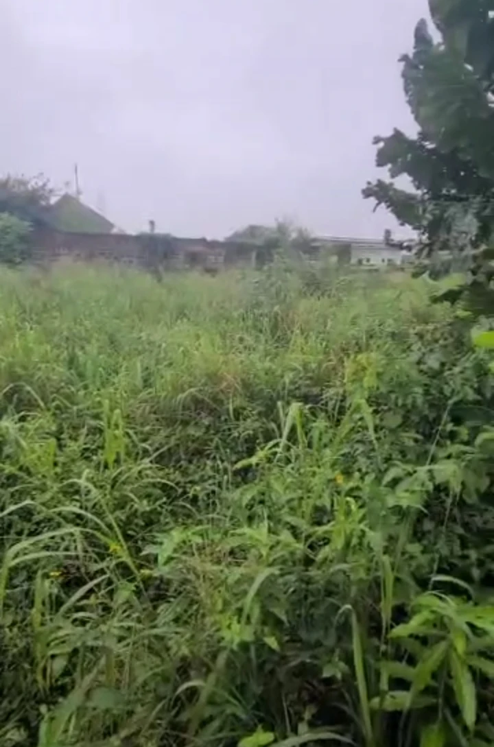 Land for Sale in Okhoromi community, Edo - Image 1