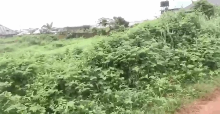 Land for Sale in Ulemon, Edo - Image 1