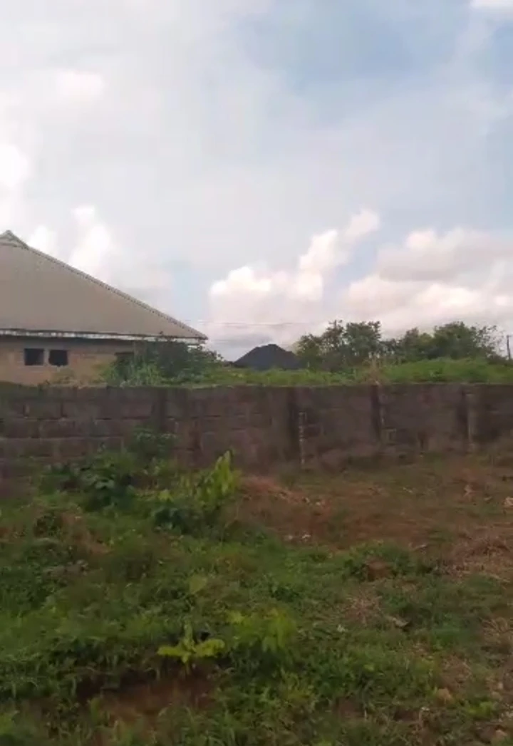 Land for Sale in Evbuodia community, Edo - Image 1