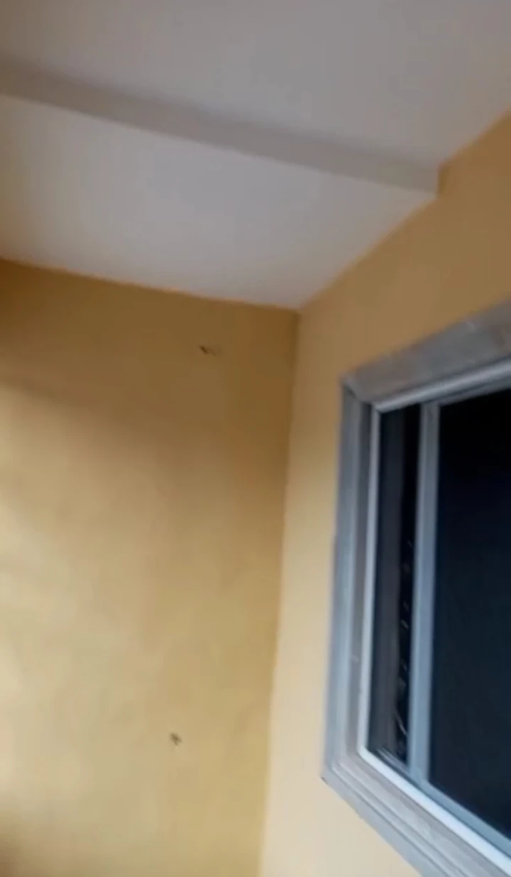 1 Bedroom Flat for Rent in Peanut Road, Edo - Image 1
